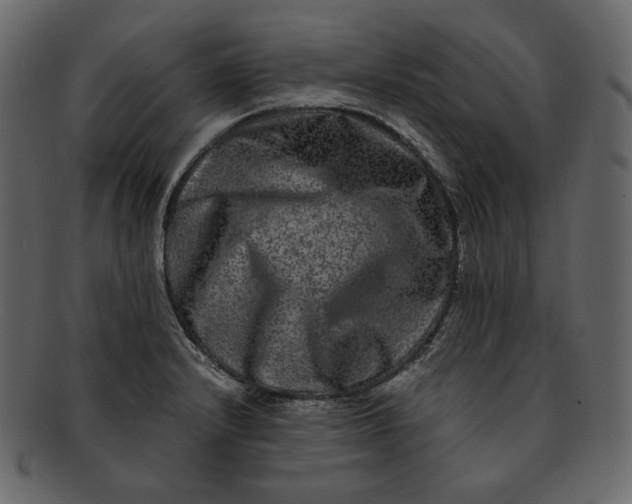 X0000092291232200710051156