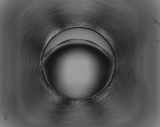 X0000092291234200710051156