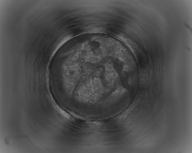 X0000092291235200710051156