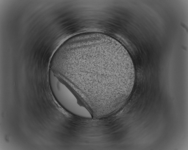 X0000092291236200710051156