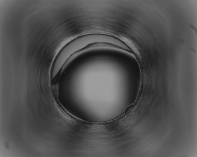 X0000092291238200710051156