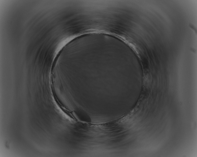 X0000092291239200710051156