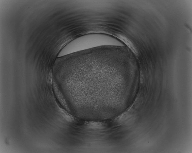 X0000092291241200710051156