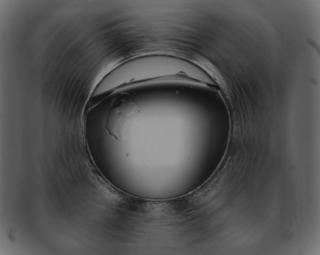 X0000092291242200710051156