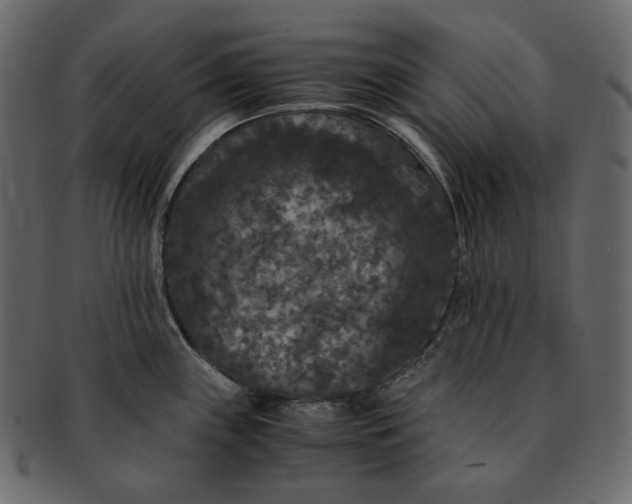 X0000092291243200710051156