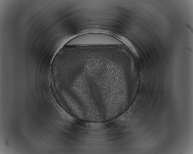 X0000092291244200710051156