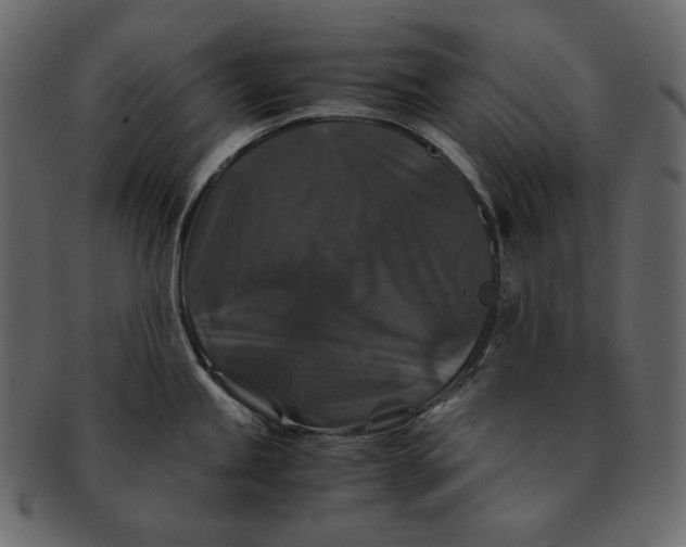 X0000092291245200710051156