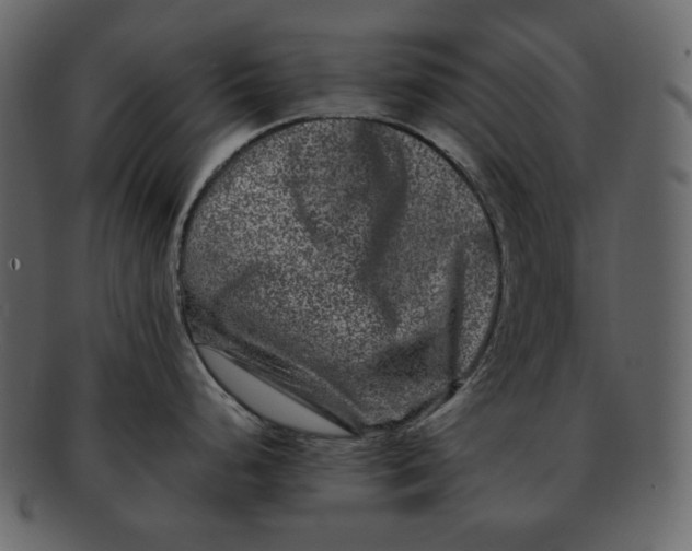 X0000092291248200710051156