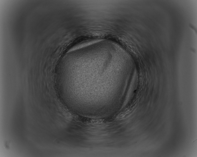 X0000092291249200710051155