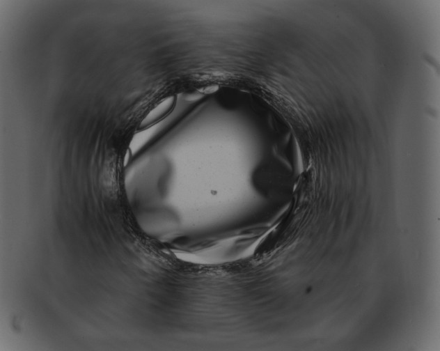 X0000092291250200710051155