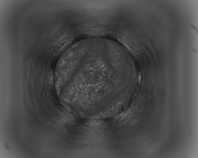 X0000092291251200710051155