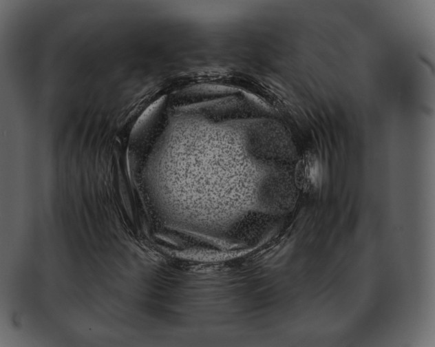 X0000092291252200710051155