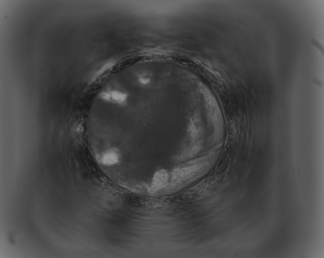 X0000092291254200710051155