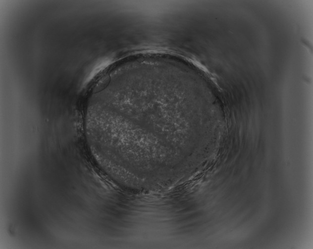 X0000092291255200710051155