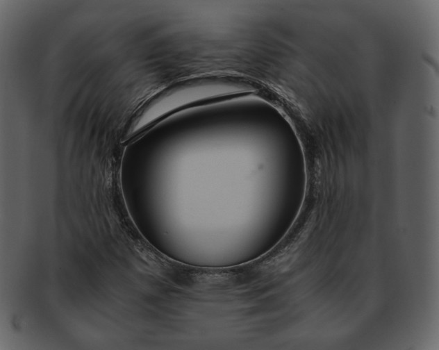 X0000092291257200710051155