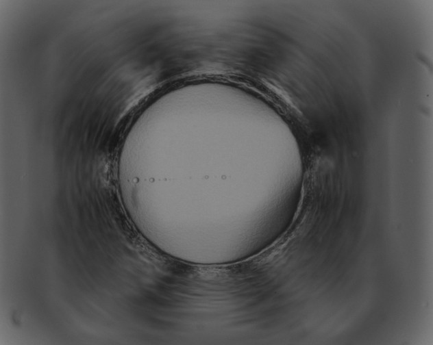 X0000092291258200710051155