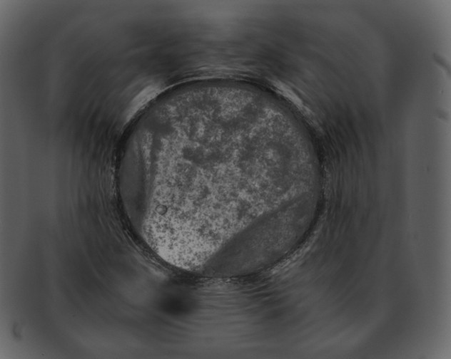 X0000092291259200710051155