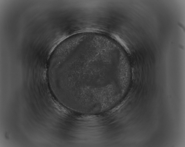 X0000092291260200710051155