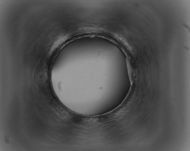 X0000092291261200710051155