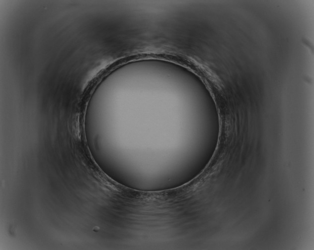 X0000092291262200710051155