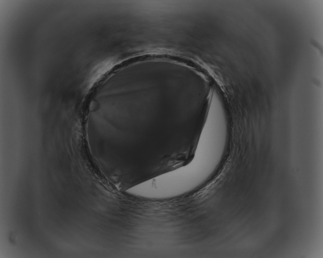 X0000092291263200710051155