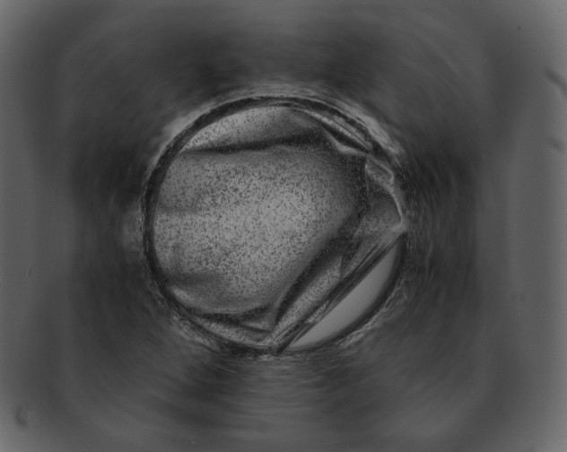 X0000092291264200710051155