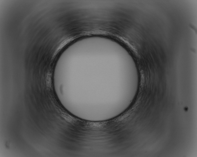 X0000092291266200710051155