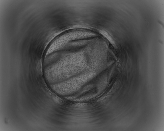 X0000092291268200710051155