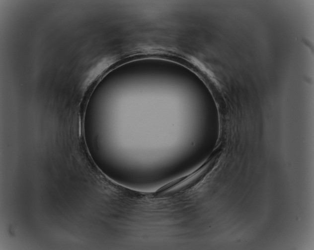 X0000092291269200710051155