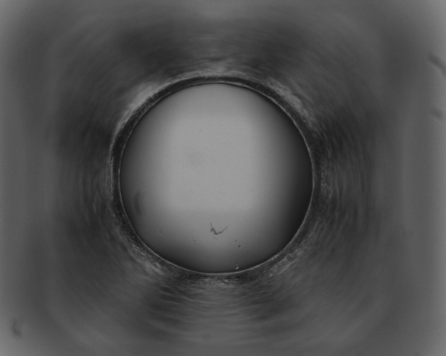 X0000092291270200710051155