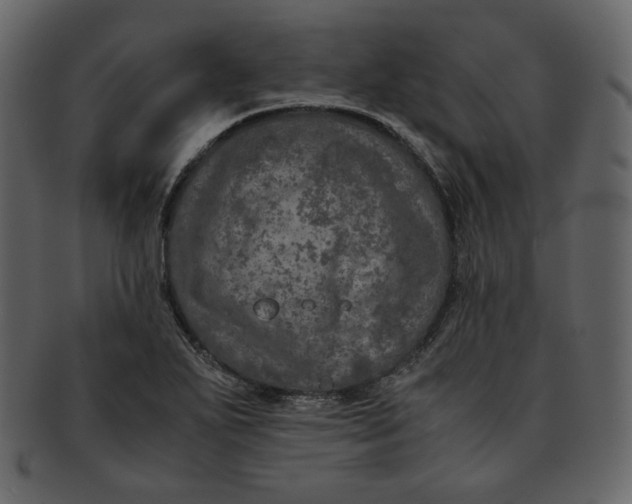 X0000092291271200710051155