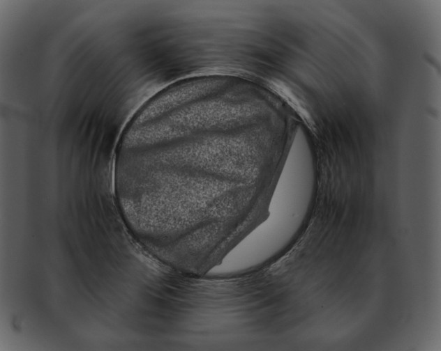 X0000092291276200710051155