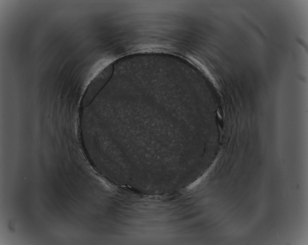 X0000092291277200710051155