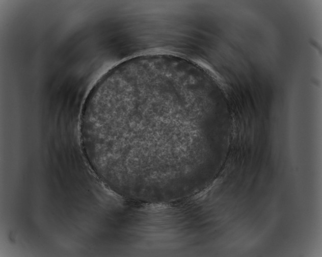 X0000092291278200710051155