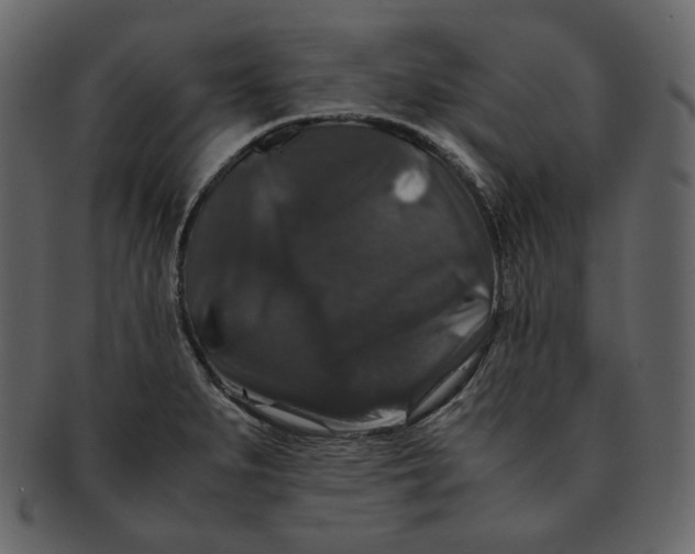 X0000092291279200710051155