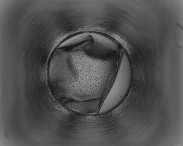 X0000092291280200710051155