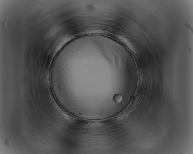 X0000092291282200710051155