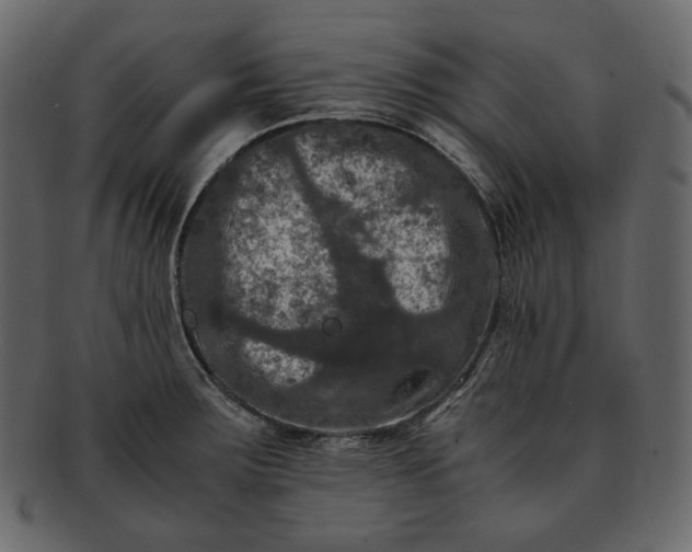 X0000092291283200710051155