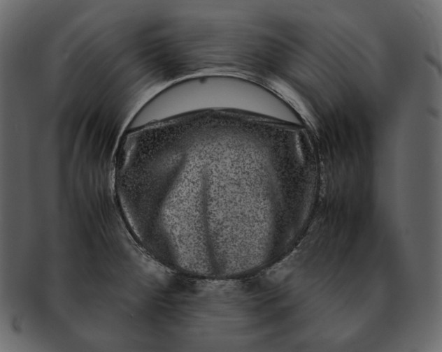 X0000092291284200710051155