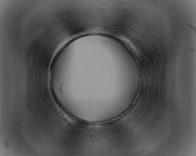 X0000092291286200710051155