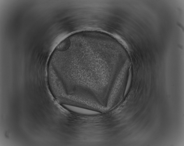 X0000092291287200710051155