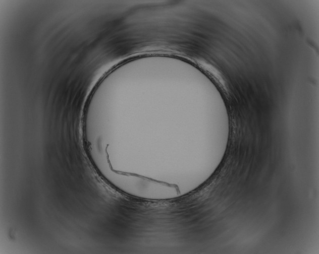 X0000092291288200710051155