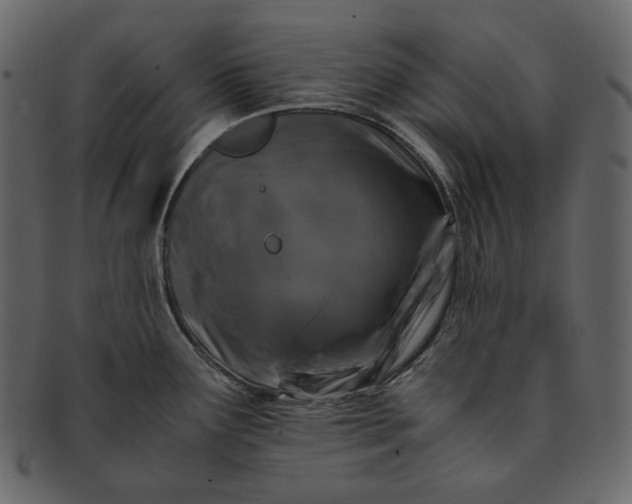 X0000092291291200710051155