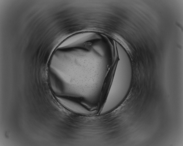 X0000092291292200710051155