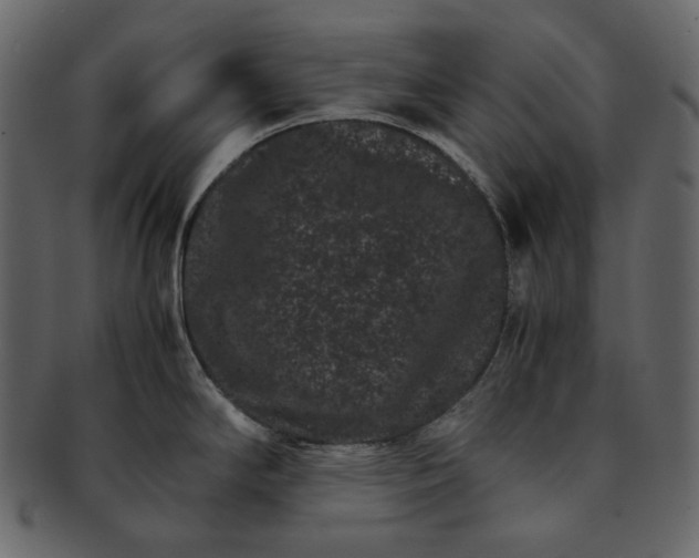 X0000092291294200710051155