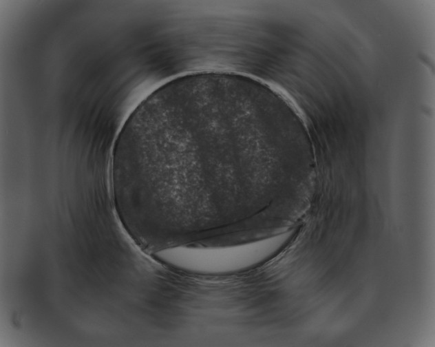 X0000092291295200710051155