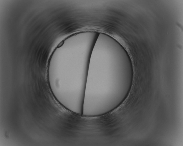 X0000092291296200710051155