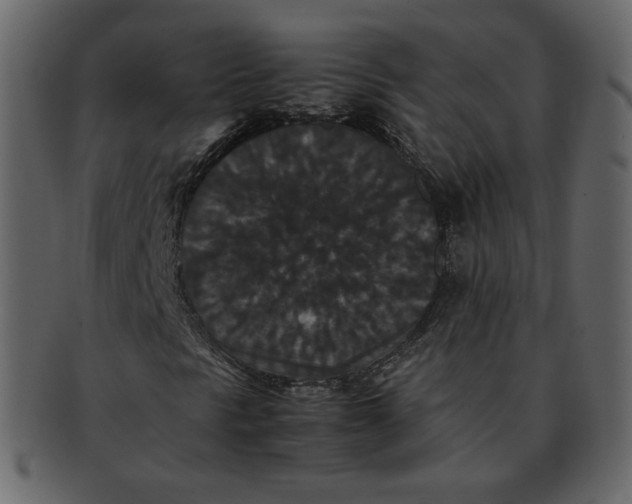 X0000092291297200710051154