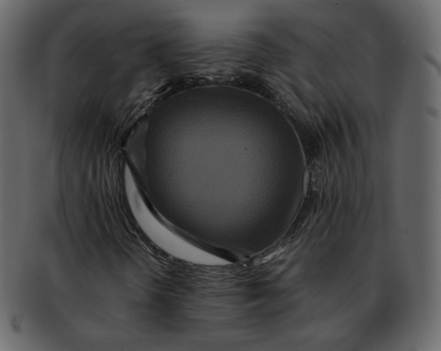 X0000092291298200710051154