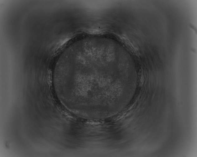 X0000092291301200710051154